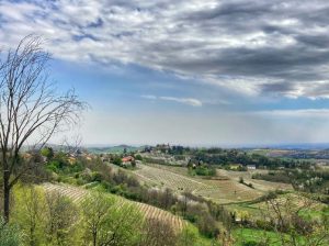 alessandria oggi