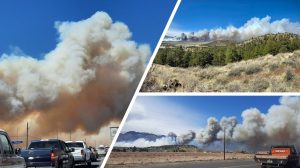 incendi arizona