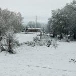 Maltempo Abruzzo: nuova nevicata imbianca Avezzano | FOTO e VIDEO