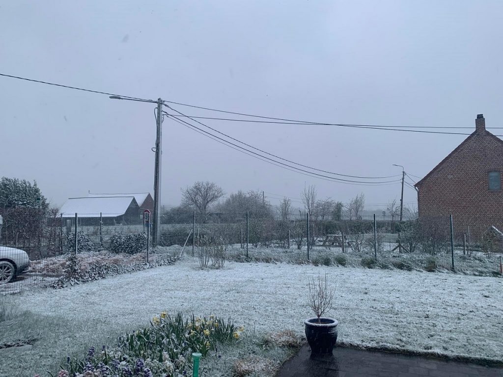 neve belgio