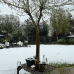 Maltempo, temperature in picchiata in Belgio e Paesi Bassi: Aprile inizia con la neve | FOTO