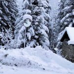 Maltempo: fitte nevicate e temperature sotto lo zero in Valtellina | FOTO e VIDEO