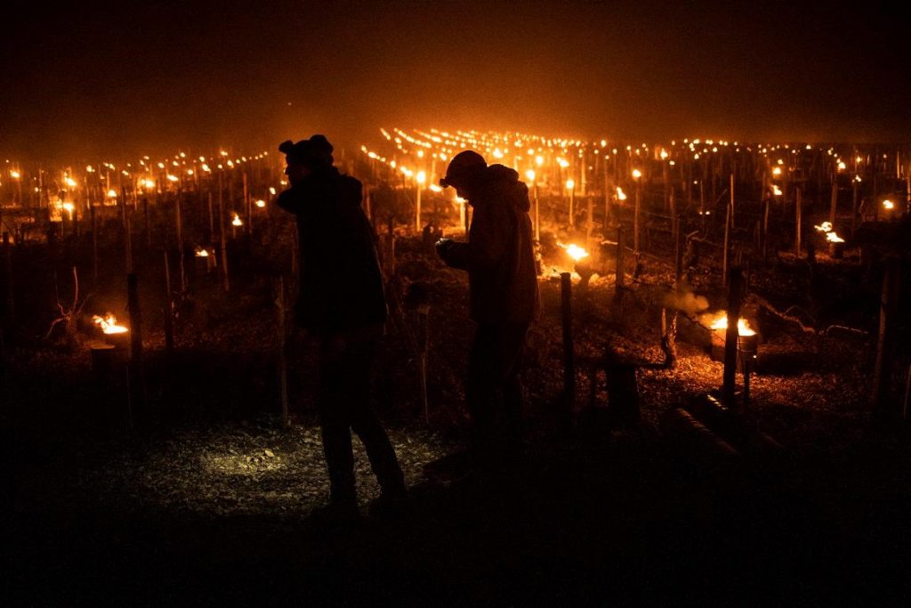 gelo vigneti francia
