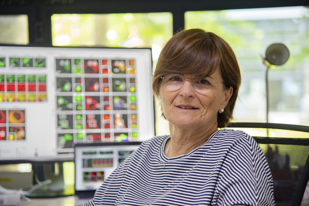 Antonella De Matteis