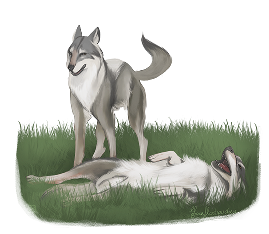 Lying on back