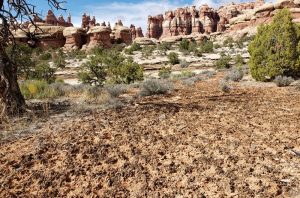 Parco nazionale delle Canyonlands