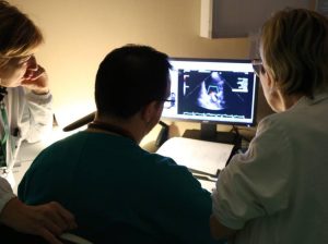 cardiologia niguarda