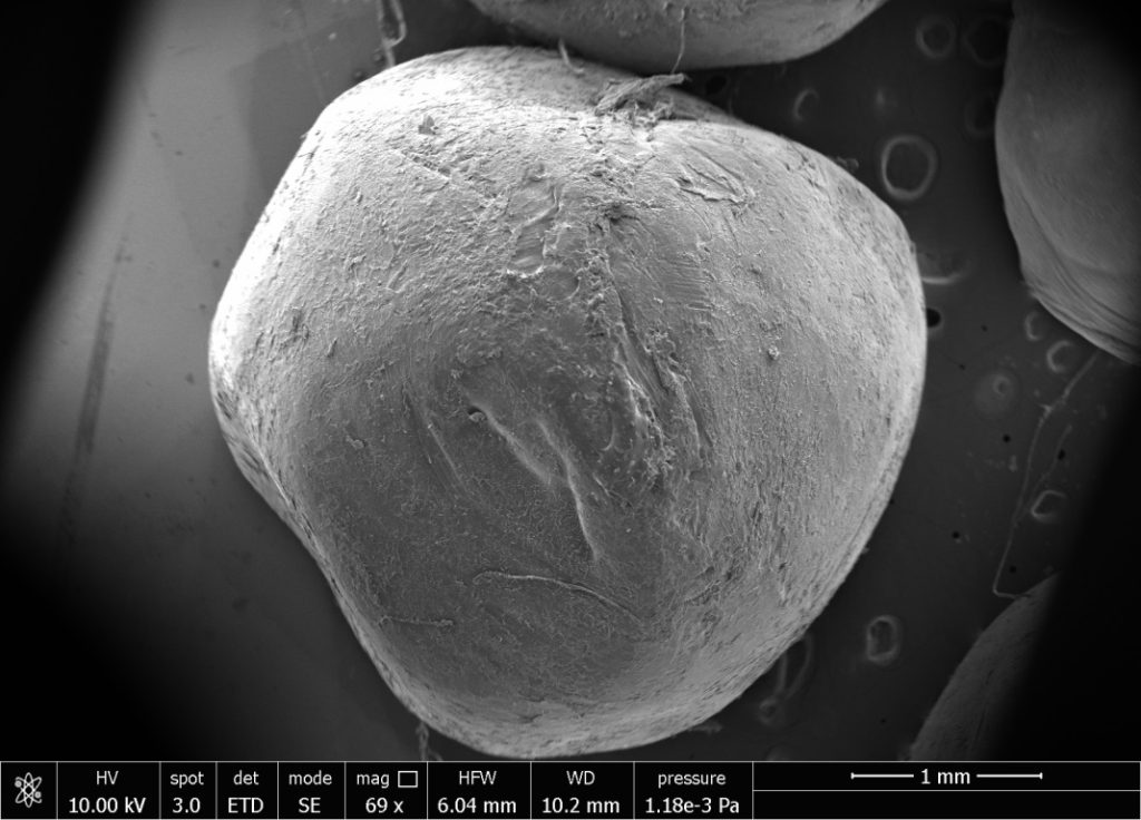 degradazione bioplastiche