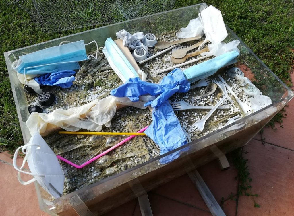 degradazione bioplastiche