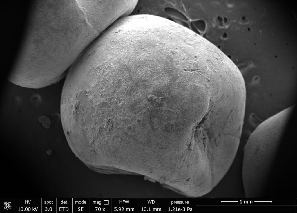 degradazione bioplastiche