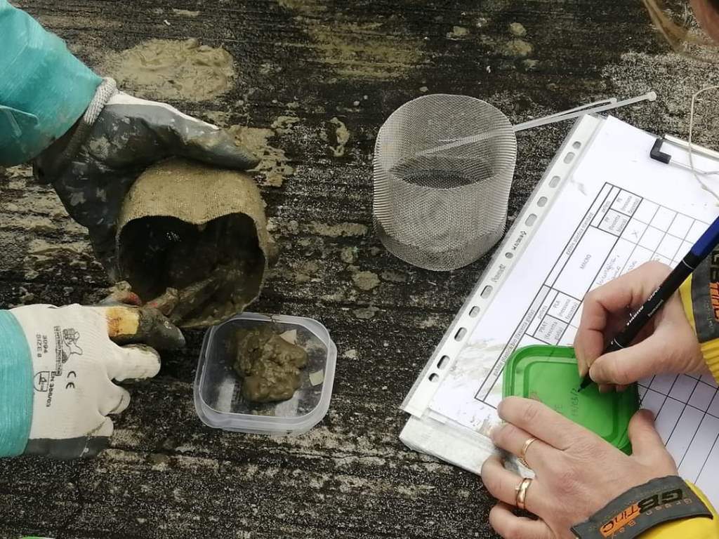 degradazione bioplastiche