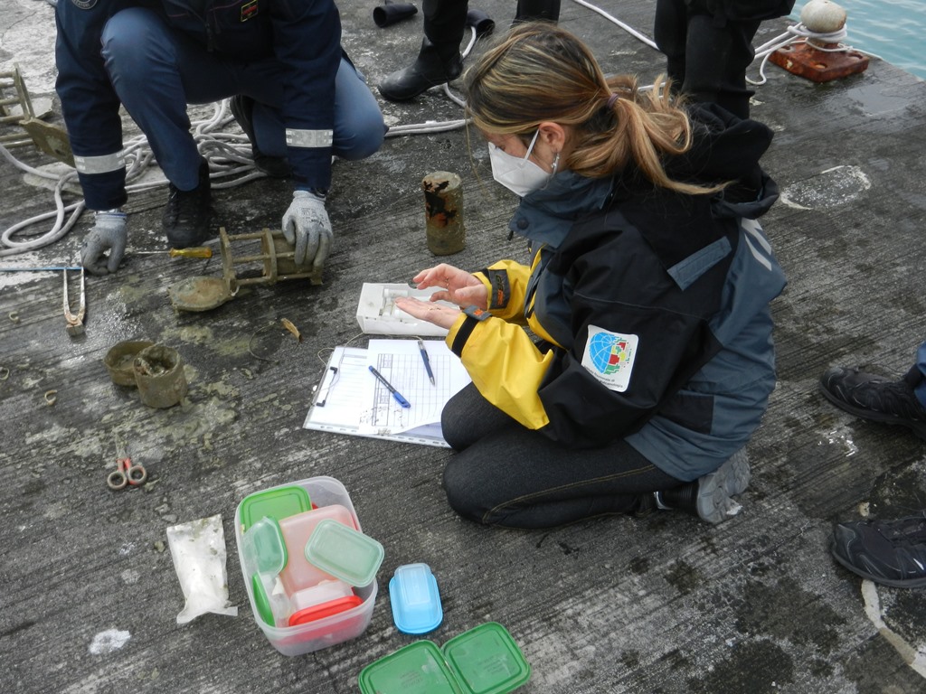 degradazione bioplastiche