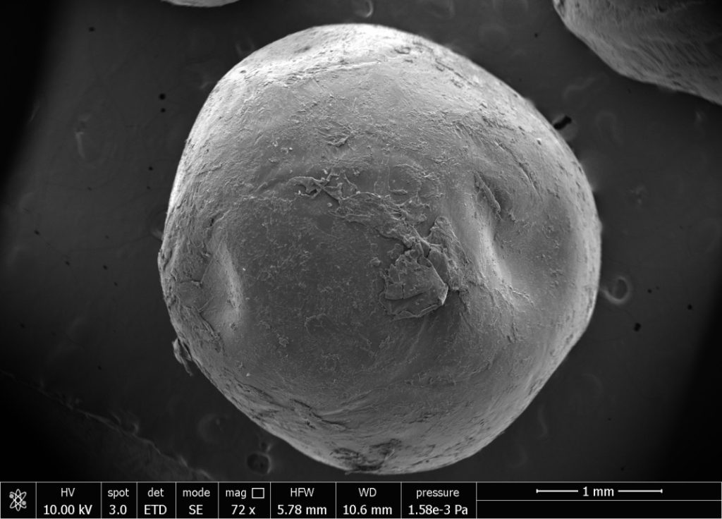 degradazione bioplastiche