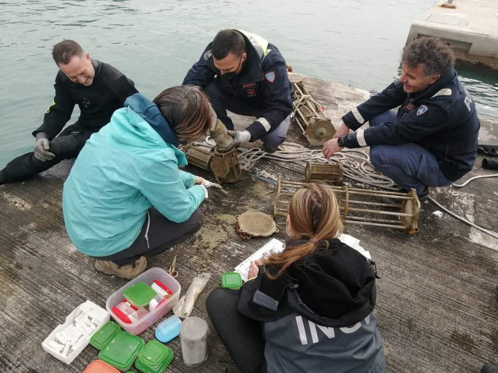 degradazione bioplastiche