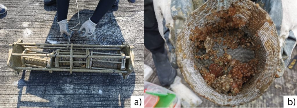 degradazione bioplastiche