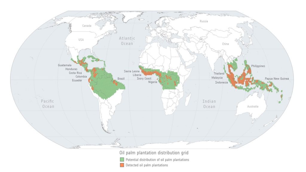 distribuzione olio palma