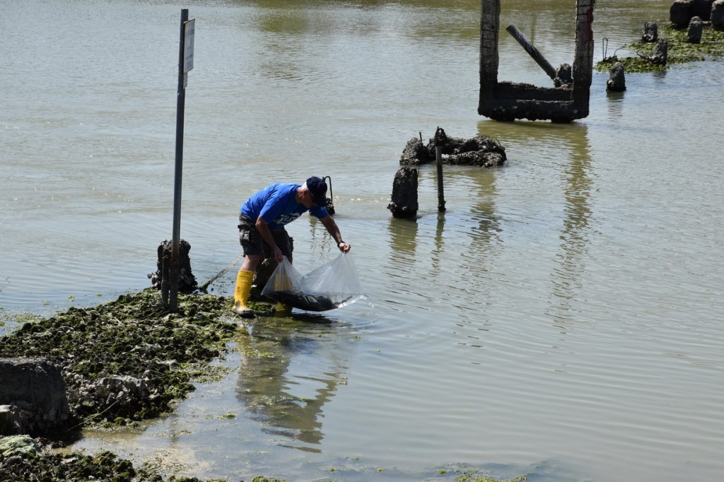 fish migration day