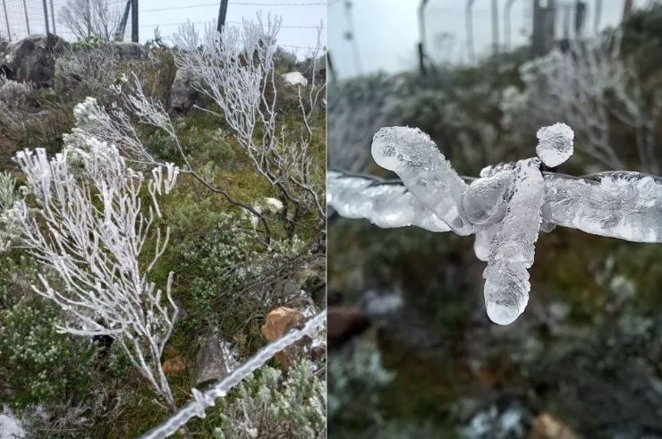 freddo neve brasile