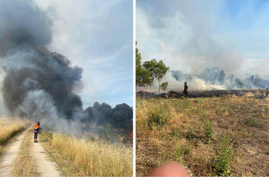 incendi roma provincia