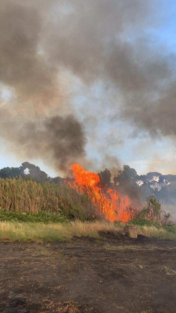 incendi roma provincia