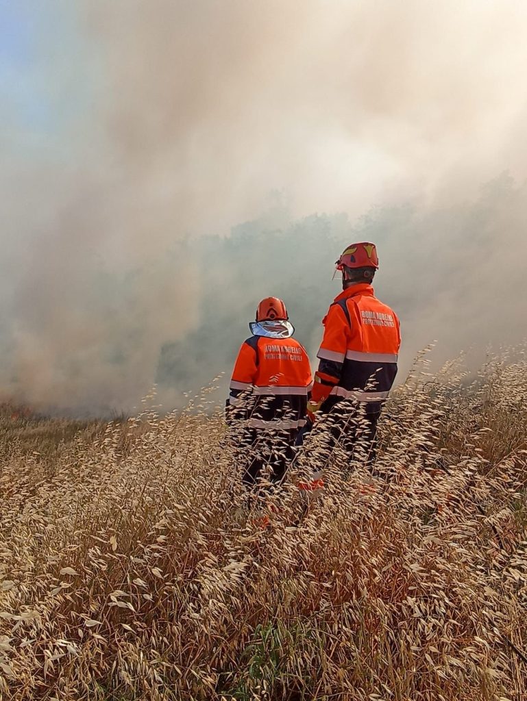 incendi roma provincia