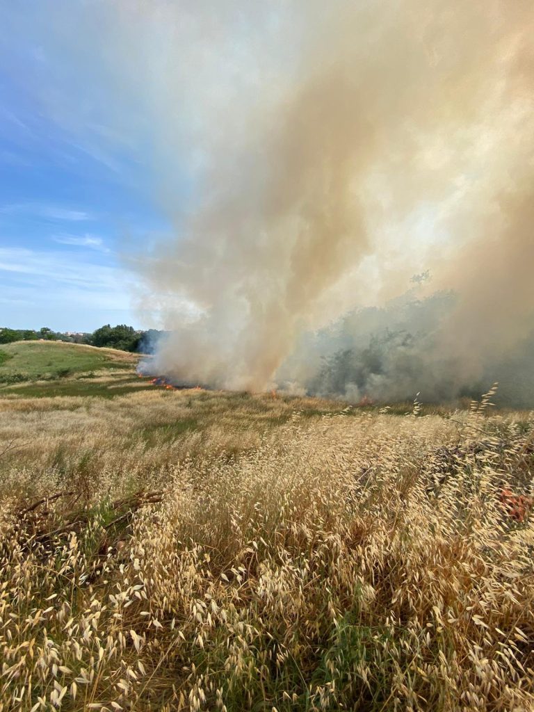 incendi roma provincia
