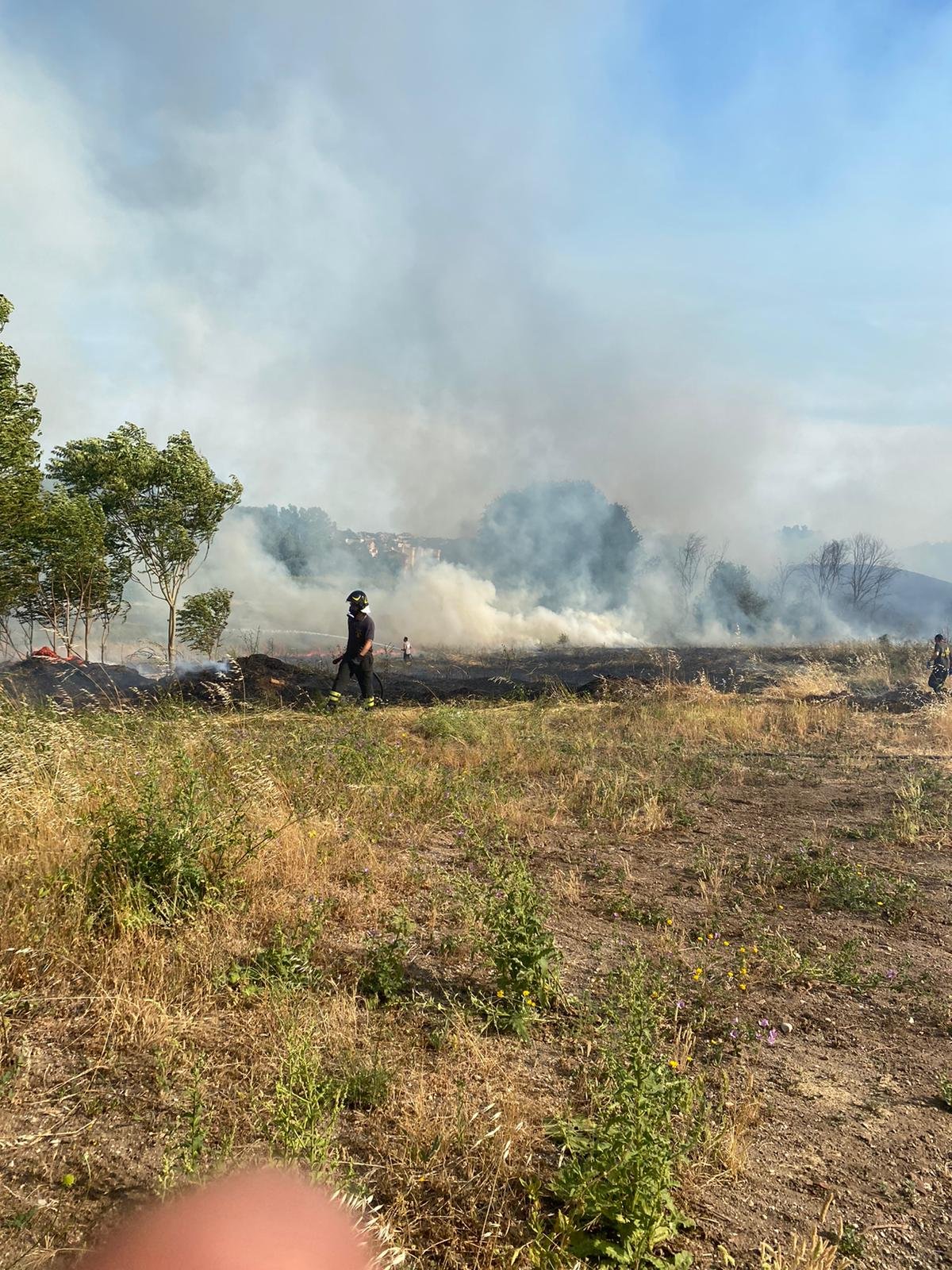 incendi roma provincia