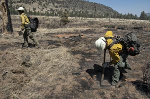 incendi usa