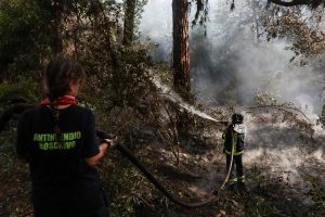 incendio castelfusano