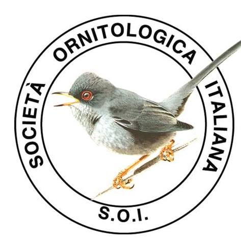 logo S.O.I.