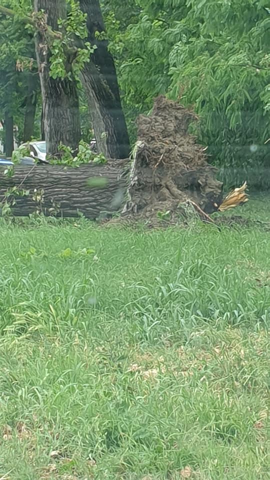 maltempo ferrara