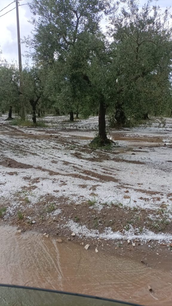 maltempo grandine cerignola puglia