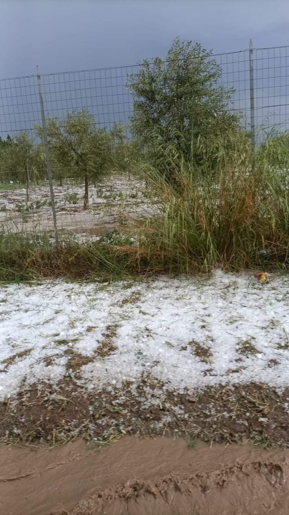 maltempo grandine cerignola puglia