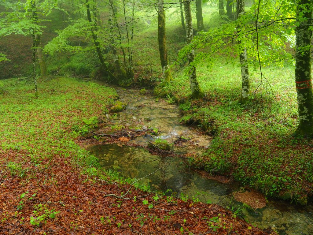 montagna natura