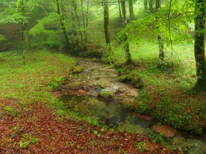 montagna natura