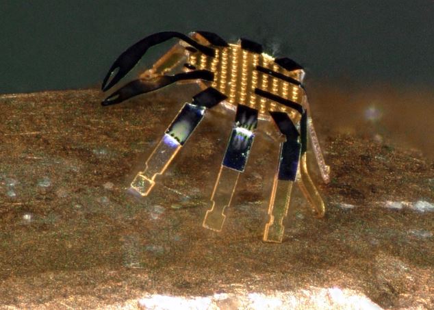 robot granchio