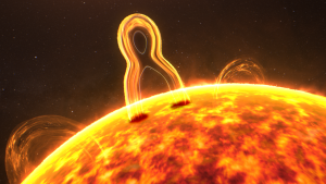 sole
