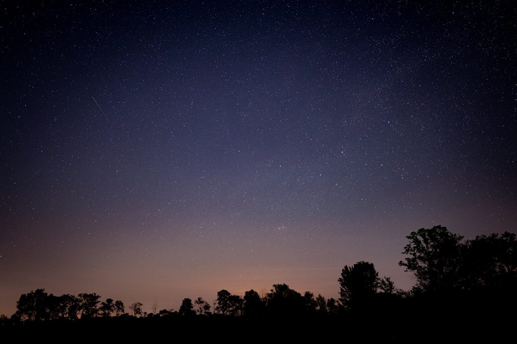 stelle cadenti Tau Herculids (1)