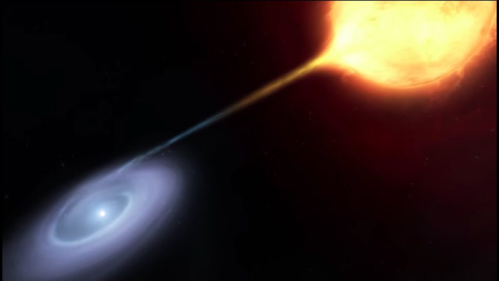 stelle unicorno astrofili palidoro