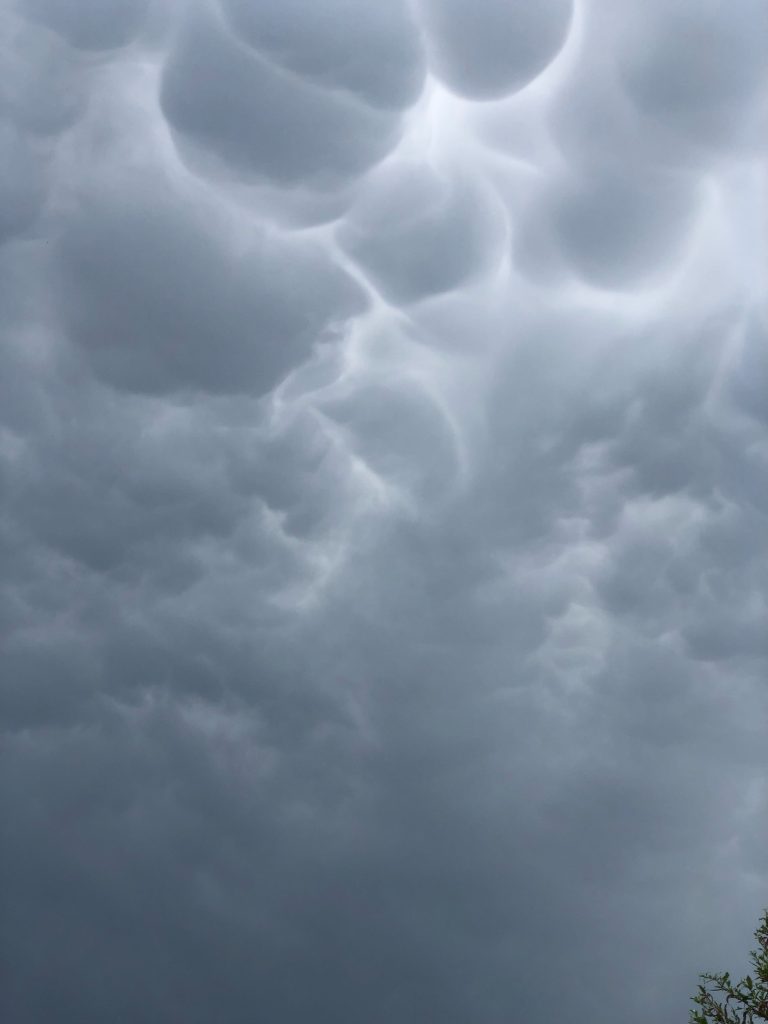 temporale prato