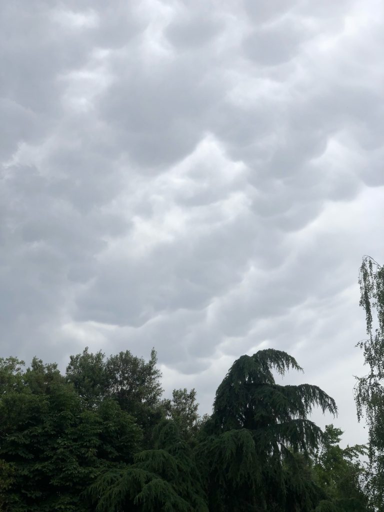 temporale prato