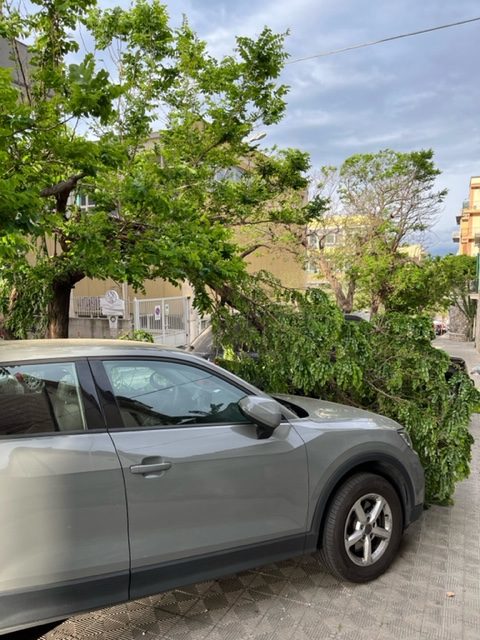via cuzzocrea reggio calabria rami vento