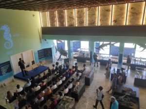 Squali del Mediterraneo