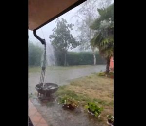 chirignago