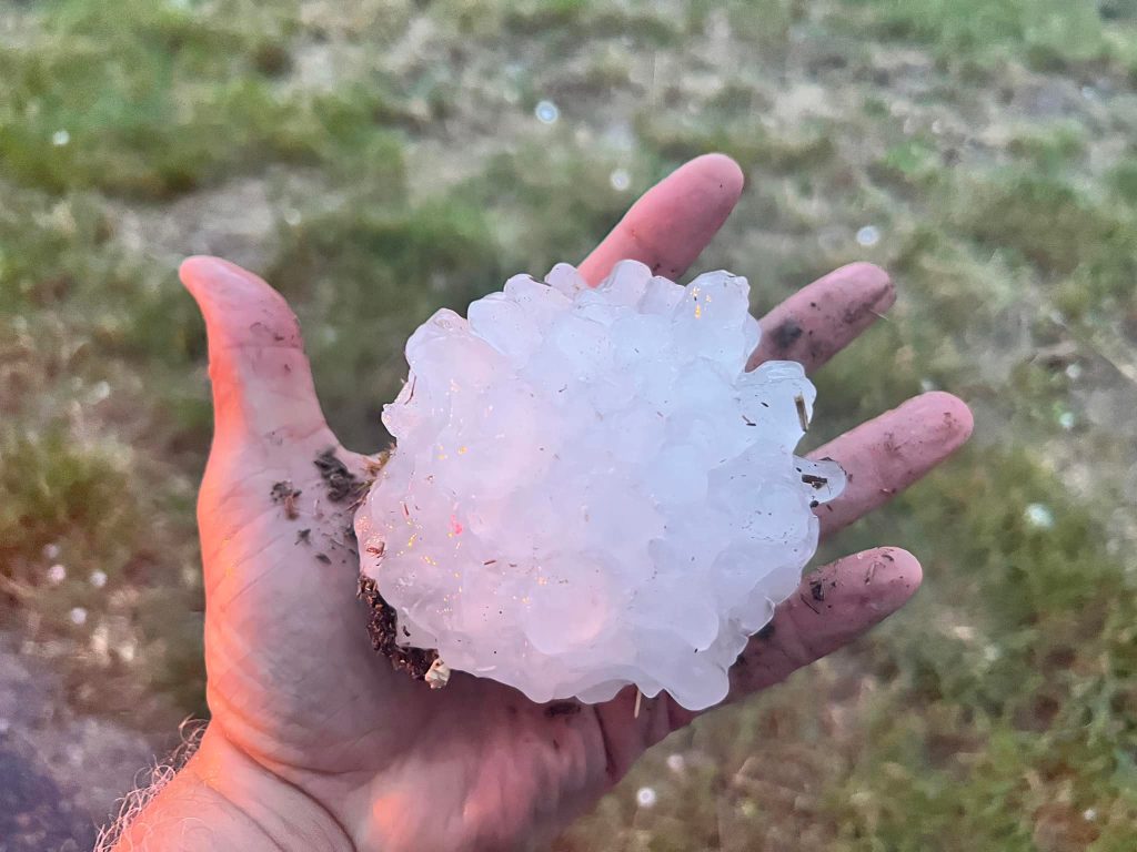 grandine nebraska