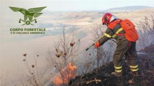 incendi sardegna