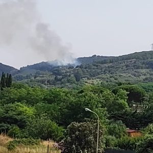 incendio Monte Santa Maria Piombino