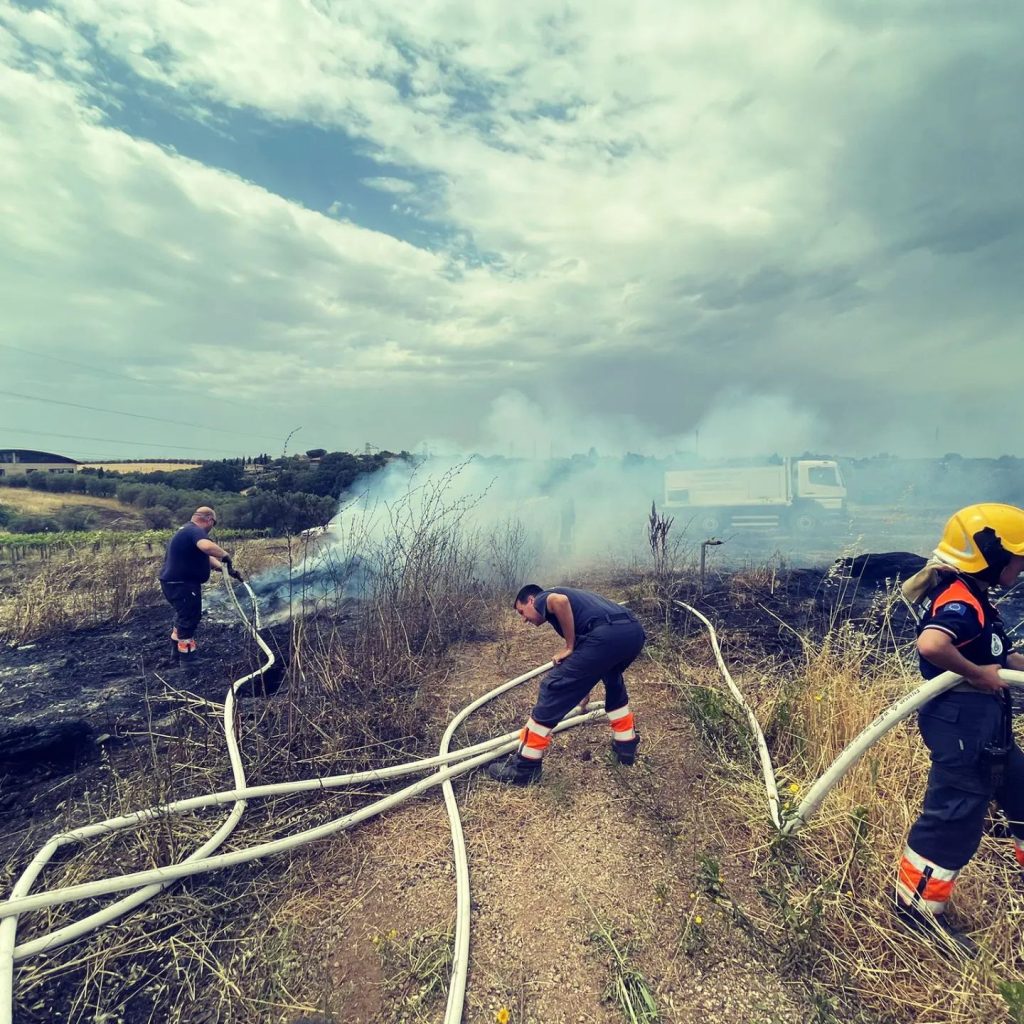 incendio ardea