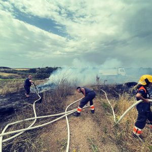 incendio ardea