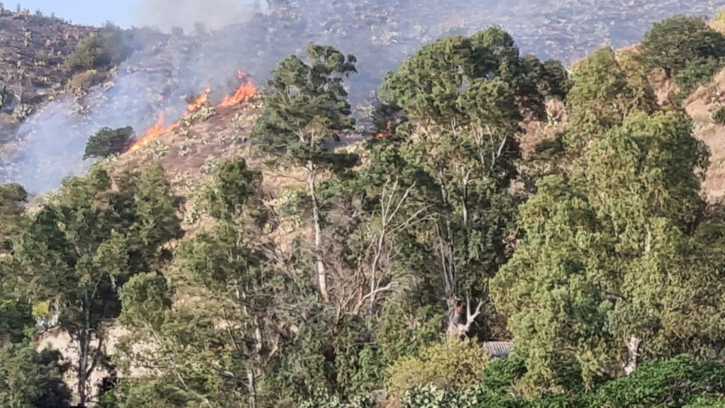 incendio collina pentimele
